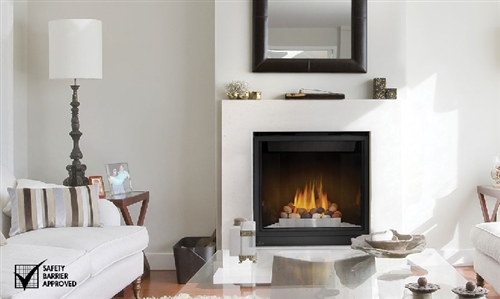 Gd36ntr Fireplace Napoleon